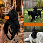 Phantom Rider – Headless Horseman Cat Costume