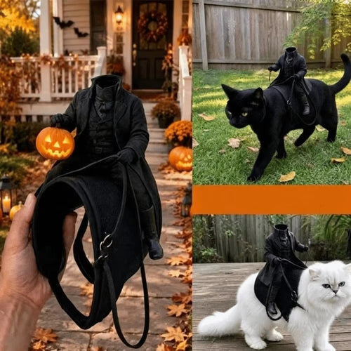 Phantom Rider – Headless Horseman Cat Costume
